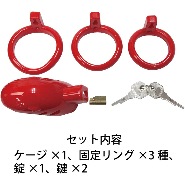 �`�F�X�e�e�B�P�[�W�@�i���b�h�j