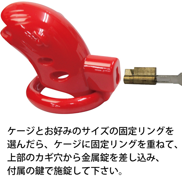 �`�F�X�e�e�B�P�[�W�@�i���b�h�j