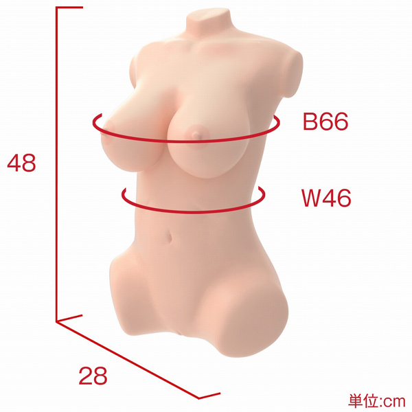 ���{�����A���{�f�B�{�R�c�{�[���V�X�e���@�i�O���}���X�{�f�B�D�ޏ݁j