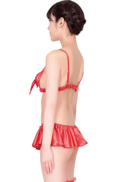 ��M���{���̃v���[���g