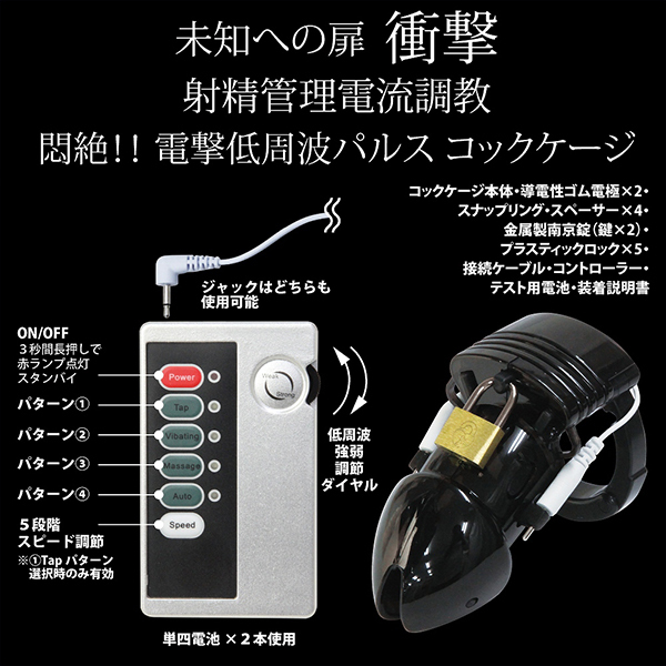 �G���N�g���b�N�V���b�N�@�`�F�X�e�e�B�f�o�C�X�@�i�u���b�N�j