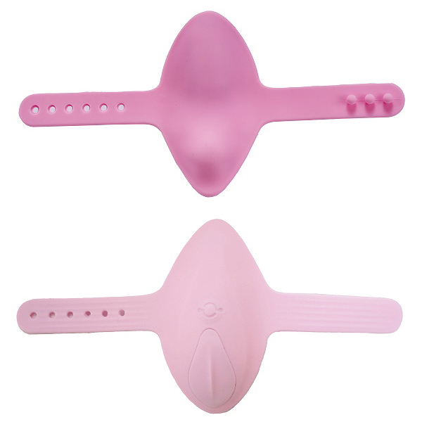 �o���������i�p�S�X�j�@�o�^�t���C���[�^�[