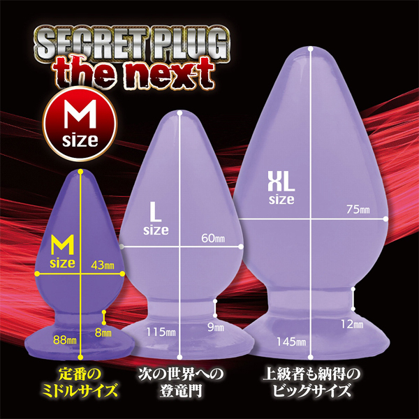 �V�[�N���b�g�v���O�@�U�@�l�N�X�g�@�i�l�j