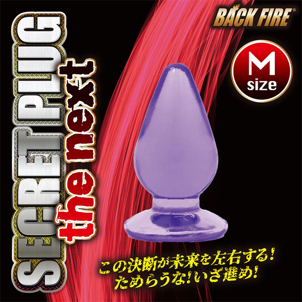 �V�[�N���b�g�v���O�@�U�@�l�N�X�g�@�i�l�j