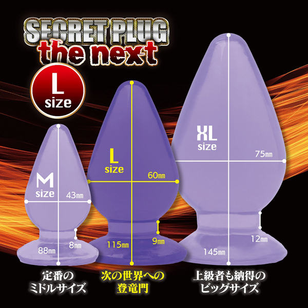 �V�[�N���b�g�v���O�@�U�@�l�N�X�g�@�i�k�j