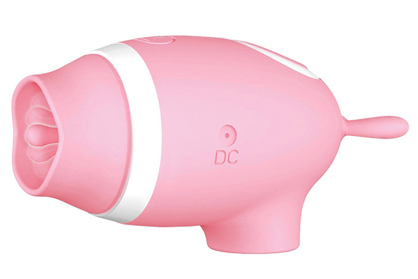 ���z������b�����@�o���������@�i�g�@�g�n�q�m�x�@�g�n�q�m�x�@�q�n�s�n�q�j�@�s���N