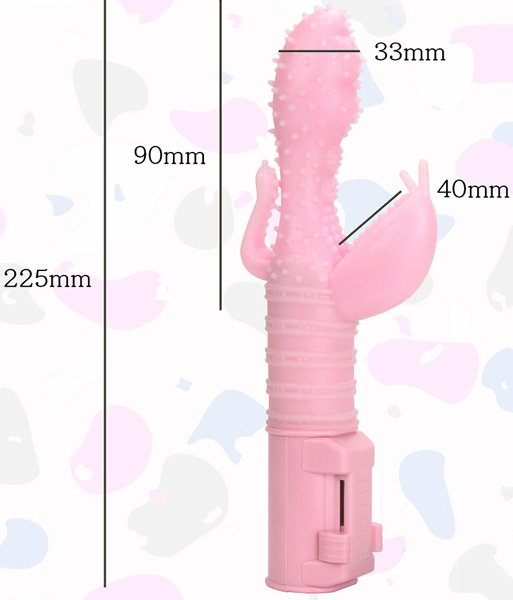 ���b�X���o�C�u�@�i�|���`�I�j