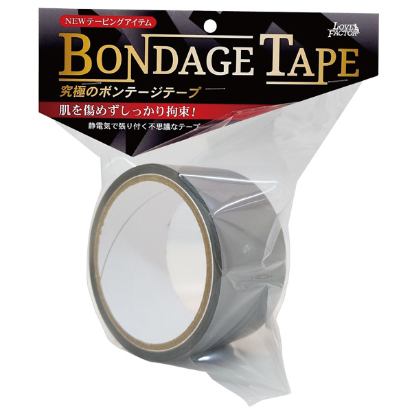 ���ɂ̃{���f�[�W�e�[�v�@�i�V���o�[�j