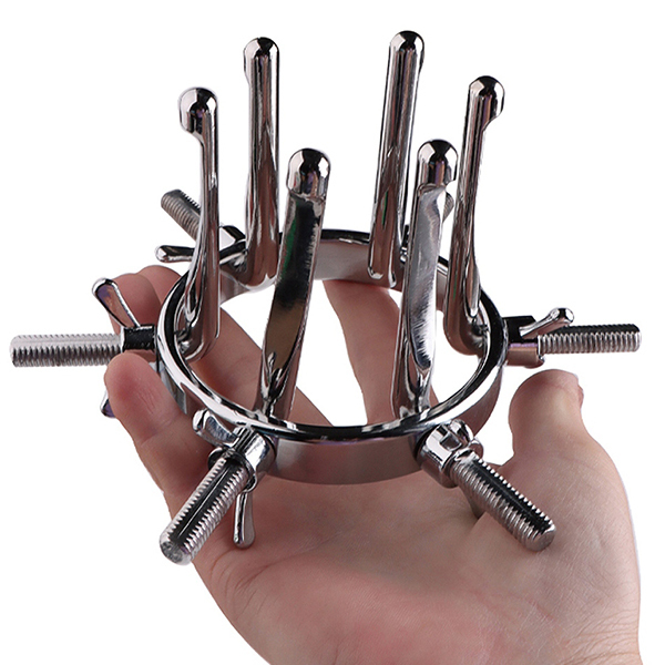 ���r�l�@�u�h�o���W�F�j�^���@�N�����v