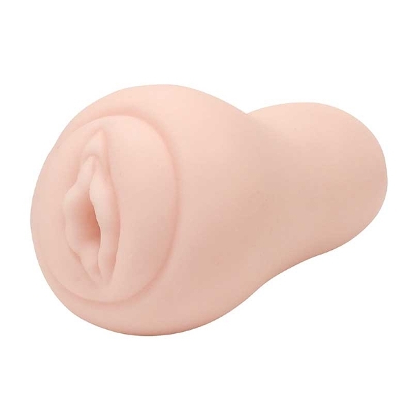 �I�E���E�i���U�J���@�����z�E�_�C�B�@�i�V��������j