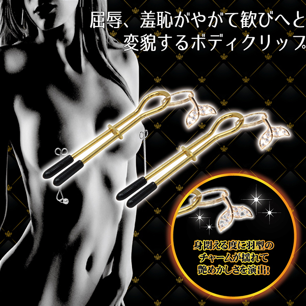 �a�c�r�l�{�f�B�N���b�v�@�i�T�j