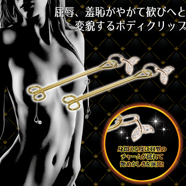 �a�c�r�l�{�f�B�N���b�v�@�i�V�j