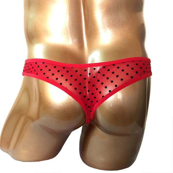 �a�����c���������@���C���h�r�L�j�p���c�i�v�|�O�P�V�j�@���ʃ��b�h