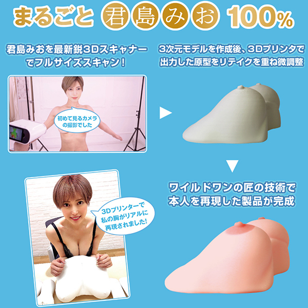 日本のおっぱい 君島みお