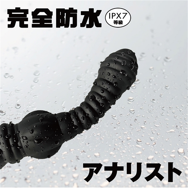 ��΃C�J����A�i���o�C�u�@���S�h���@�A�i���X�g�@�i�O�O�V�j