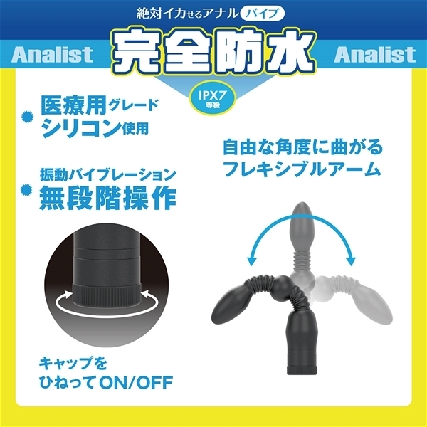 ��΃C�J����A�i���o�C�u�@���S�h���@�A�i���X�g�@�i�O�O�X�j