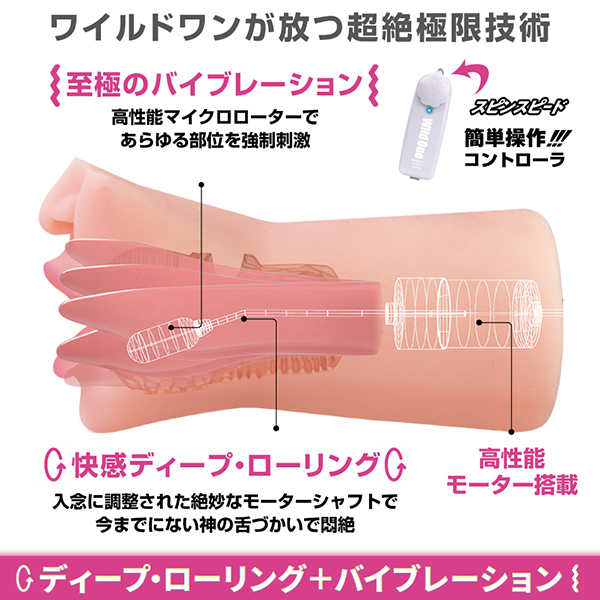 �_�t�F���@�i�c�䂤�j