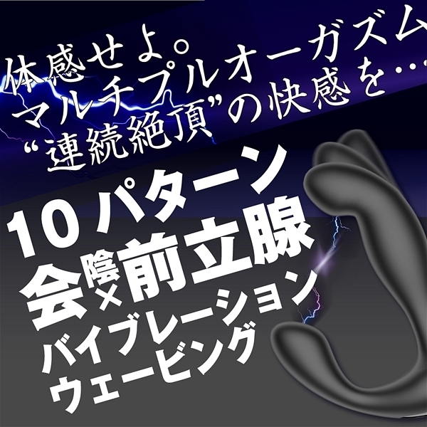 �l���������������@�n�����������i�}���`�v���I�[�K�Y���j