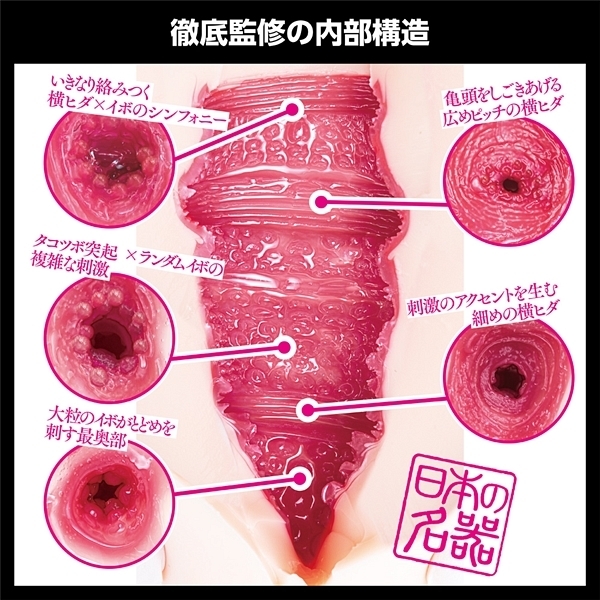 ���{�̖���@�i�P��͂ȁj