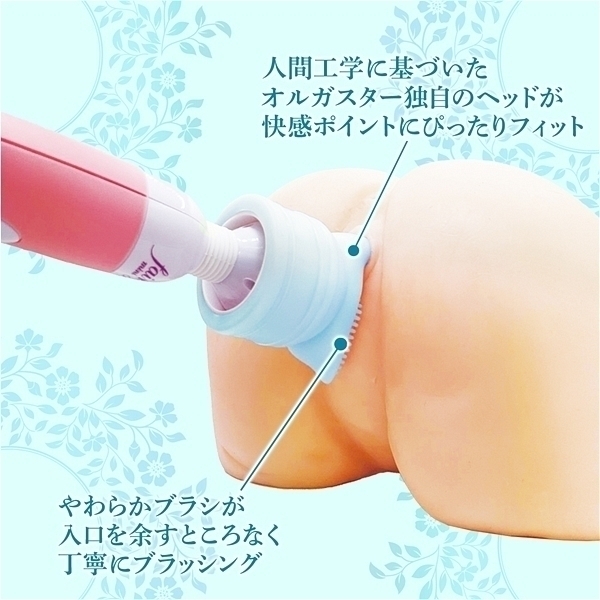 �I���K�X�^�[�@�\�t�g�A�^�b�`�����g�@�i�u���[�j