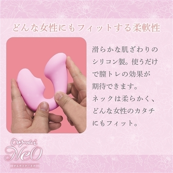 ���z������I���K�X�^�[�@�l�I�@�i�s���N�j