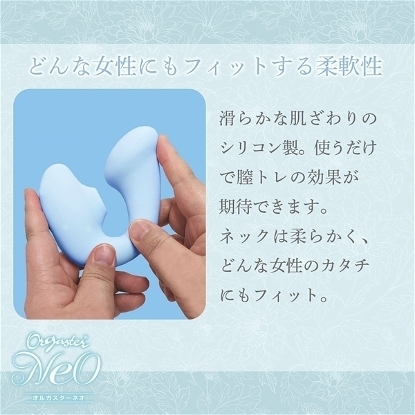 ���z������I���K�X�^�[�@�l�I�@�i�u���[�j