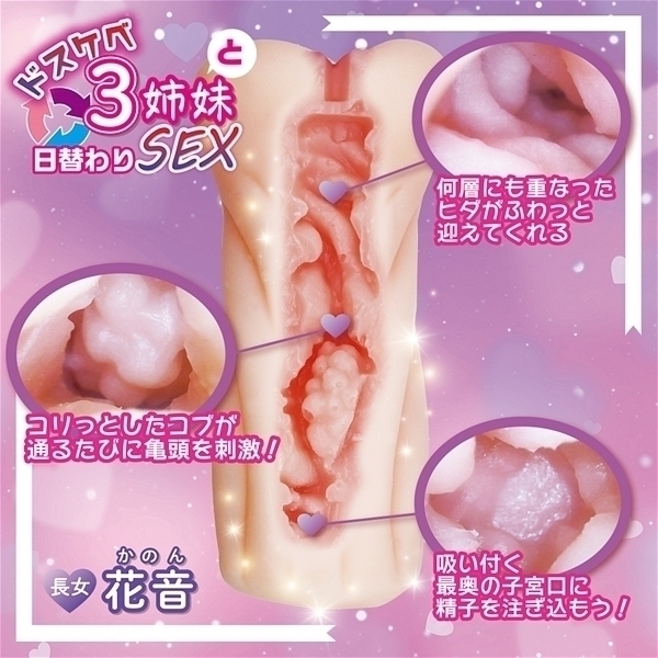 �h�X�P�x�R�o���Ɠ��ւ��r�d�w�@�i�����@�ԉ��j