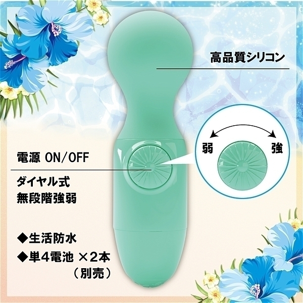 �k�������i���R�j�@�^�[�R�C�Y