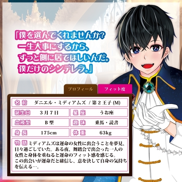 �V���f�����t�B�b�g�@�i�l�j