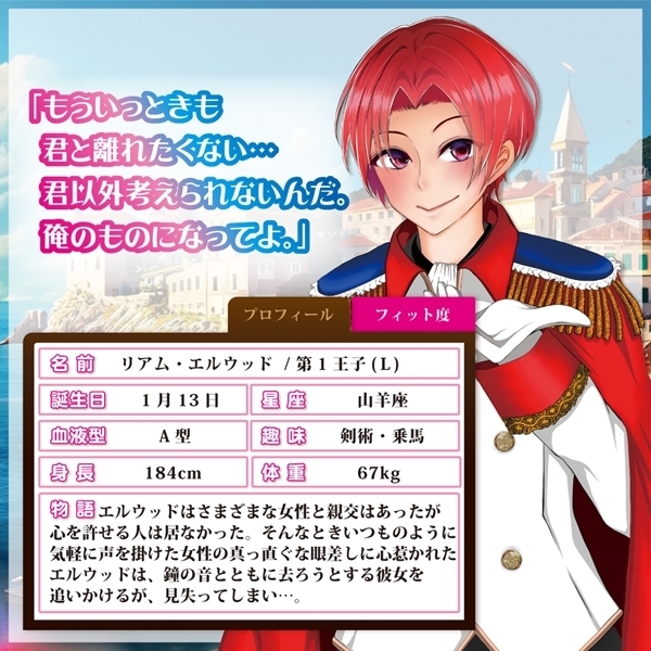 �V���f�����t�B�b�g�@�i�k�j