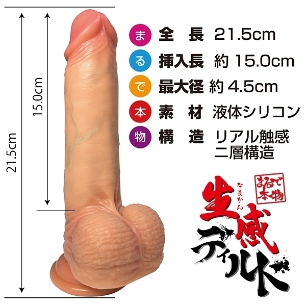 �܂�Ŗ{�������f�B���h