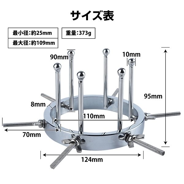 �r�����������@�������������@�i�V�[�N���b�g�V�[�J�[�j�@��������