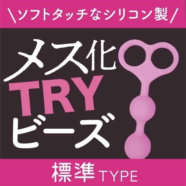 ���X���s�q�x�r�[�Y�@�i�W���^�C�v�j