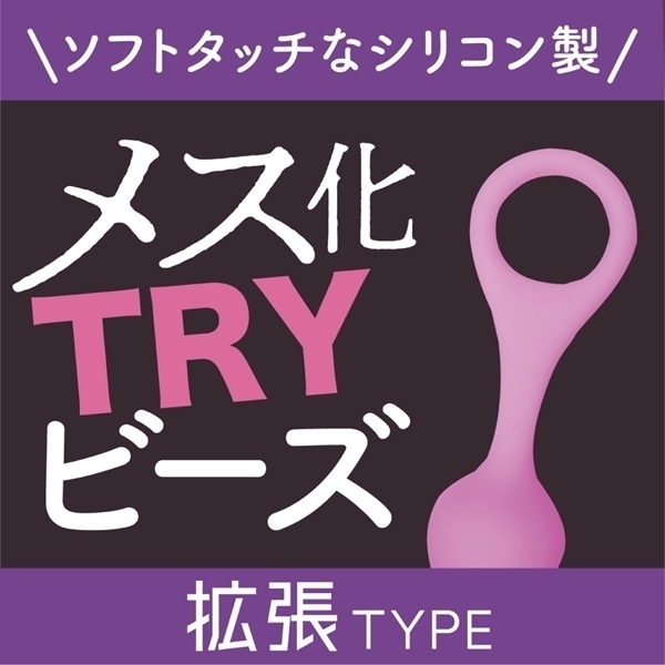 ���X���s�q�x�r�[�Y�@�i�g���^�C�v�j