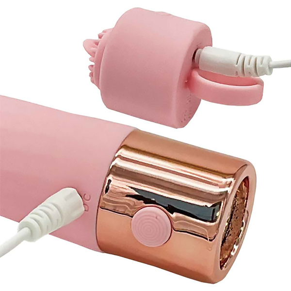 �x�`�u�h�a�d�I�y�������O�f�A�^�b�N