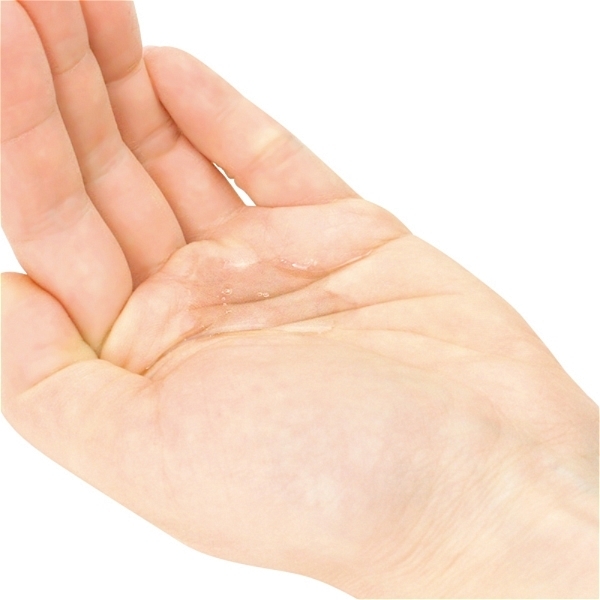 �������������@�G�N�X�Z���X�@�}�b�T�[�W�I�C���@�i�R�n�N���z�z�o�[�j