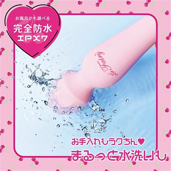 ���E�t�F�A���[�@�i�`�F���V�[�E�s���N�j