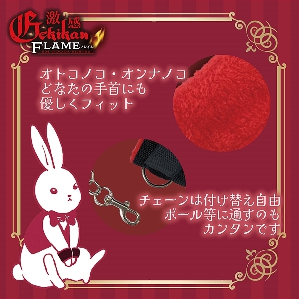 �����t���C���@�i���T�V�C�e�J�Z�@��g�j