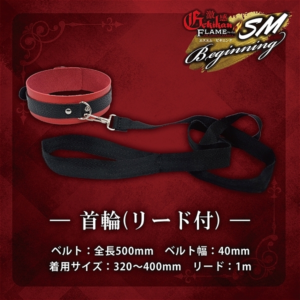 激感フレイム (SMビギニング)