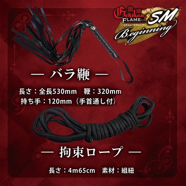 激感フレイム (SMビギニング)