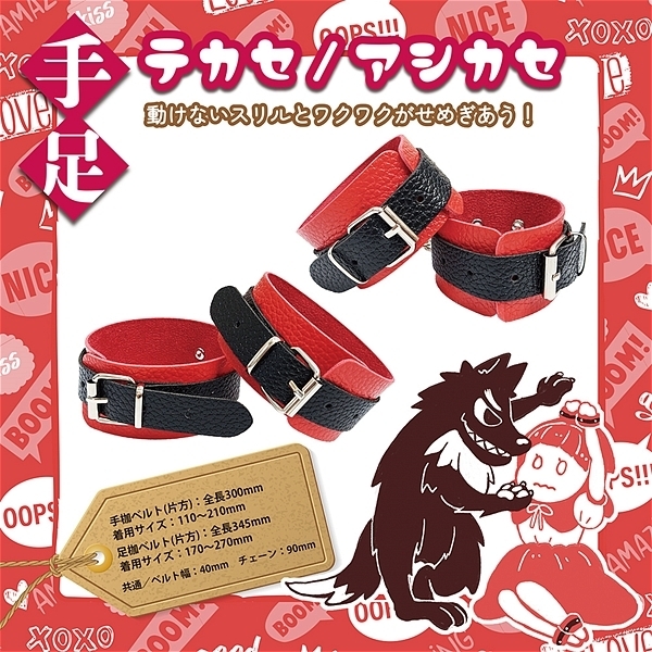 赤ずきんちゃんとオオカミくんのHow to SM(ハウツーエスエム)