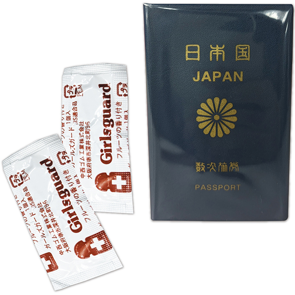 �p�X�|�[�g�^�C�v�@�i�Q����j