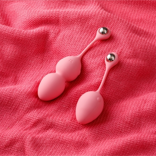 �t�F�~���C�g�@�j���������@�g�����i�P�[�Q���z�b�g�j