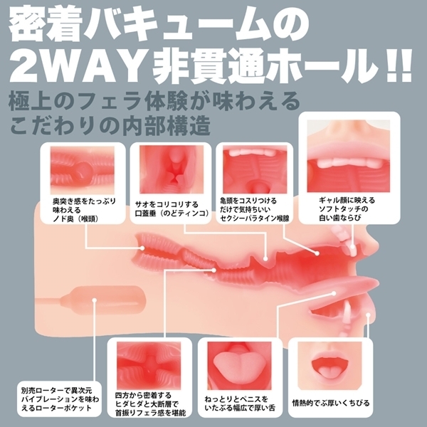 �_�t�F���@�N���V�b�N�@�i���؁@�蓮�j