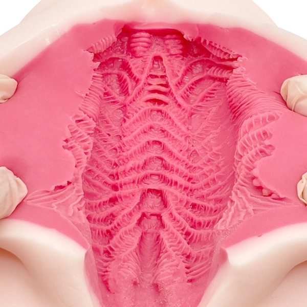 ���I�i���y�d�q�n�@�G���W�F���f�`�k�@�i�C���i�[�\�t�g�j