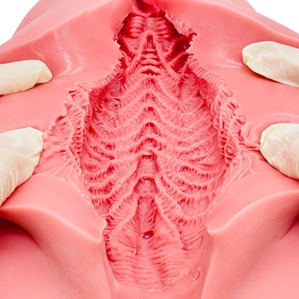 ���I�i���y�d�q�n�@�G���W�F���f�`�k�@�i�n�[�h�j