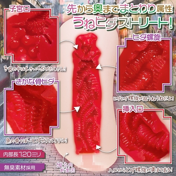 �A�I�n���G���`�����g�@�b�������D�O�Q�@�������