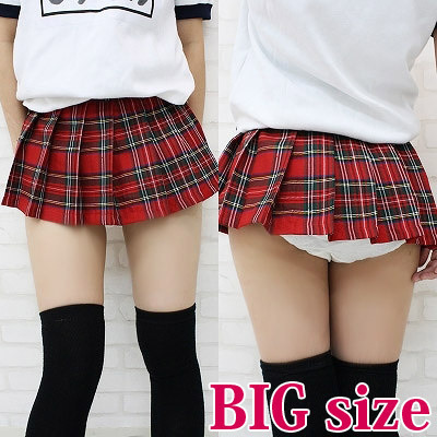 ���~�j�`�F�b�N�X�J�[�g�@�a�h�f