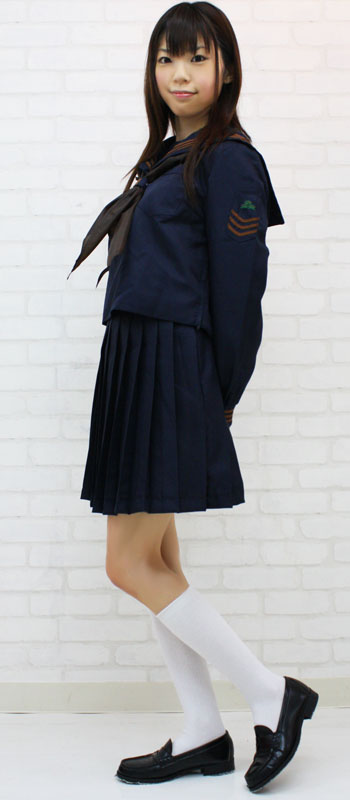 ���ۊw���̃Z�[���[���i�~���j�@�a�h�f