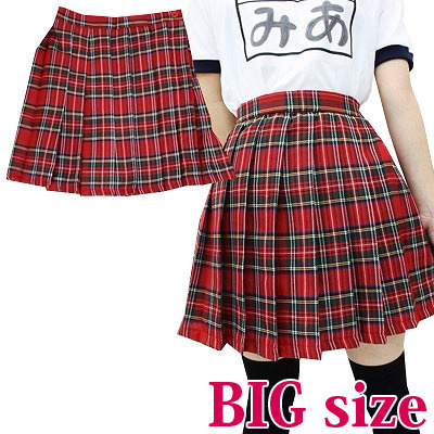 チェック柄プリーツスカート BIG